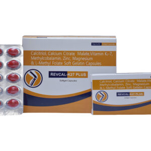 Revcal K 27 Plus